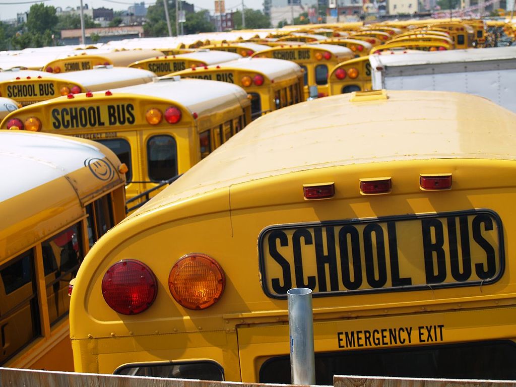 school buses lined up in a parking lot